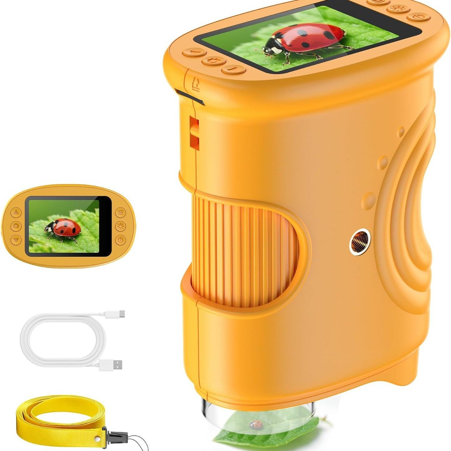 Little Scientist: The Wonder Scope